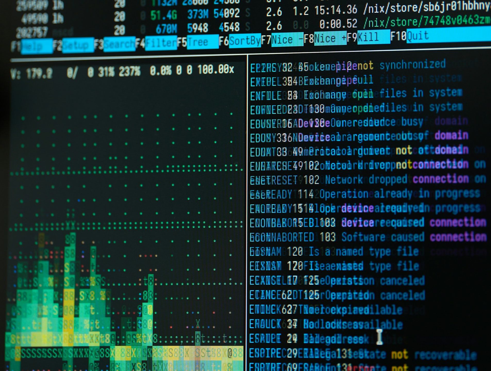 NixOS screenshot